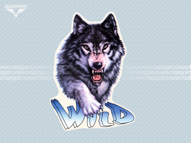 Наклейка "Волк Wild"  80х55 мм. (синяя) Mazepper