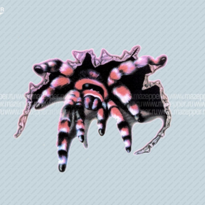 Наклейка "Паук" 120х80 мм. (красная) Mazepper