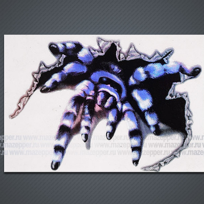 Наклейка "Паук" 120х80 мм. (синяя) Mazepper