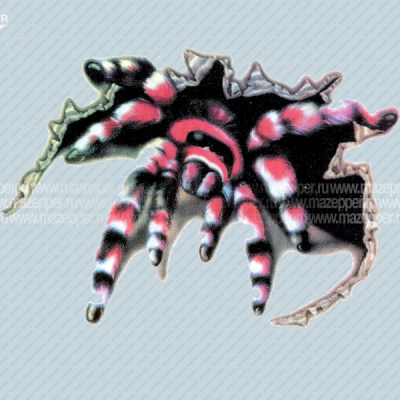 Наклейка "Паук" 150х120 мм. (красная) Mazepper