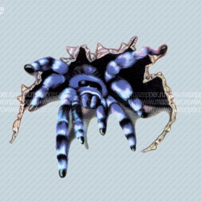 Наклейка "Паук" 150х120 мм. (синяя) Mazepper